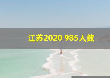 江苏2020 985人数